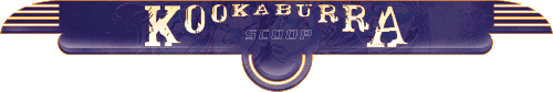 Kookaburra Scoop
